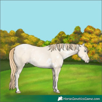 Horse Color:White Spotted Smoky Grullo Pearl 