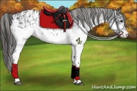 Horse Color:White Spotted Blue Roan Rabicano  and White Spotted Blue Roan Appaloosa Rabicano 