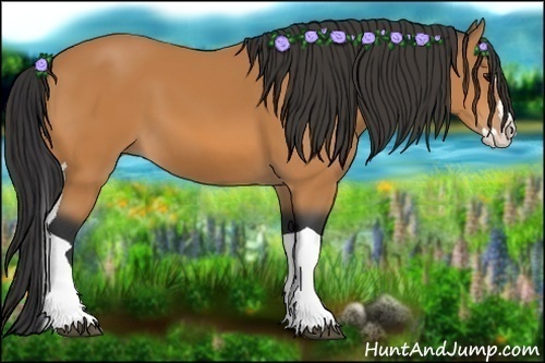 Horse Color:Bay Splash Tobiano 