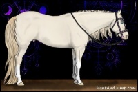 Horse Color:Smoky Creme Dun 