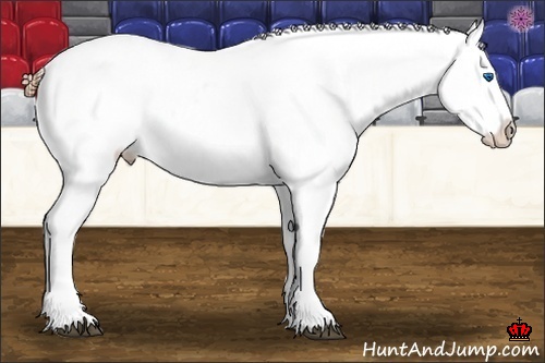 Horse Color:Grullo Splash Near Leopard 