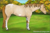 Horse Color:Red Roan Pearl Tobiano Frame 