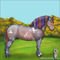 Horse Color:Gray Painted Watercolor White Spotted Brown 