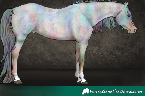 Horse Color:Nacre Liver Red Roan Pearl Tobiano 