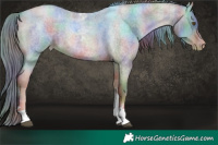 Horse Color:Nacre Liver Red Roan Pearl Tobiano 