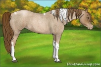 Horse Color:Liver Red Roan Pearl Tobiano Frame 