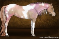 Horse Color:Liver Red Roan Pearl Tobiano Frame