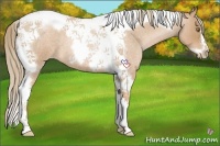 Horse Color:Red Roan Pearl Tobiano Frame
