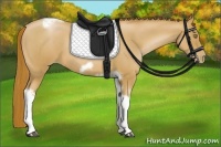 Horse Color:Red Roan Pearl Tobiano Frame 