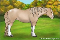Horse Color:Red Roan Pearl Tobiano Frame