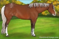 Horse Color:White Spotted Silver Bay Splash