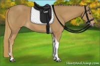 Horse Color:Chestnut Tobiano 