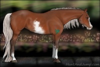 Horse Color:White Spotted Silver Bay Splash 