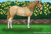 Horse Color:Red Roan Pearl Tobiano Frame 