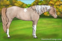 Horse Color:Liver Red Roan Pearl Tobiano Frame 