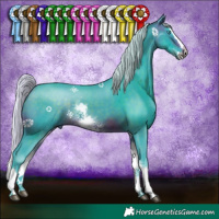 Horse Color:Watercolor White Spotted Silver Brown Splash Tobiano