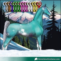 Horse Color:Watercolor White Spotted Silver Brown Splash Tobiano 