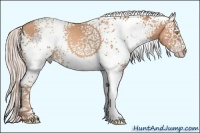 Horse Color:White Spotted Chocolate Silver Sable Champagne Splash 