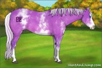 Horse Color:Watercolor White Spotted Silver Bay Splash 