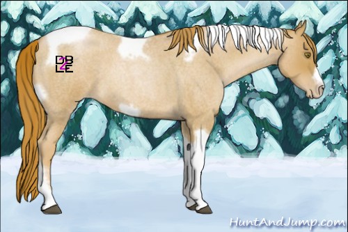 Horse Color:Red Roan Pearl Tobiano Frame 
