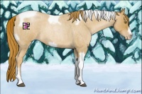 Horse Color:Red Roan Pearl Tobiano Frame