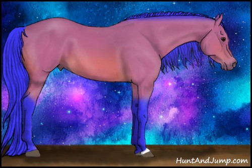 Horse Color:Watercolor Bay 