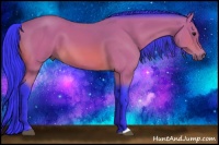 Horse Color:Watercolor Bay 