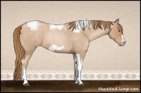 Horse Color:Red Roan Pearl Tobiano Frame 
