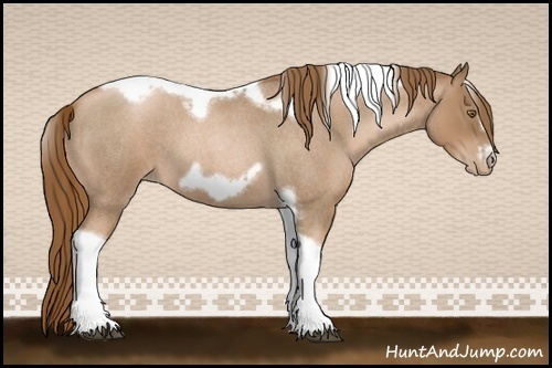 Horse Color:Liver Red Roan Pearl Tobiano Frame 