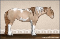 Horse Color:Liver Red Roan Pearl Tobiano Frame