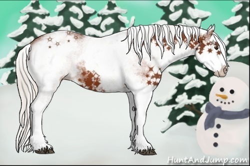 Horse Color:White Spotted Silver Bay Splash 