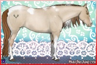 Horse Color:Liver Red Dun Roan Pearl Tobiano Frame 