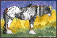 Horse Color:White Spotted Black Splash Tobiano Frame Blanket 