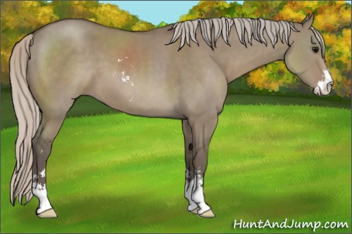 Horse Color:Silver Grullo Sabino 