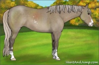 Horse Color:Silver Grullo Sabino 