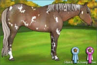 Horse Color:White Spotted Silver Black Sabino 