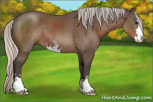 Horse Color:Silver Black Sabino 