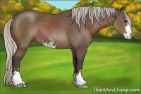 Horse Color:Silver Black Sabino 