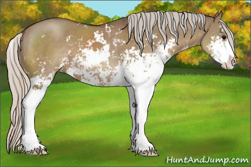 Horse Color:Silver Grullo Sabino 