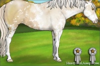 Horse Color:Silver Grullo Pearl Sabino 