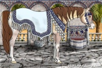 Horse Color:Sable Cream Champagne Onyx Appaloosa