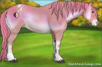 Horse Color:Watercolor Red Onyx Sabino Appaloosa Rabicano 