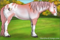 Horse Color:Watercolor White Spotted Liver Red Dun Onyx Sabino Appaloosa Rabicano 