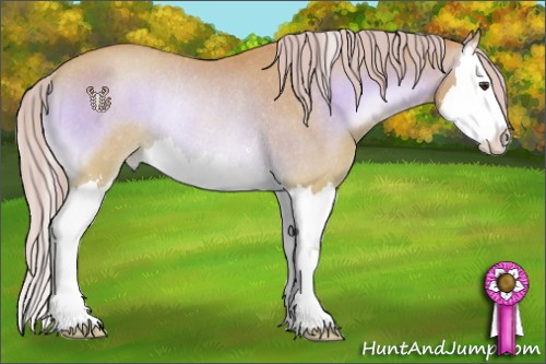 Horse Color:Watercolor Red Onyx Sabino Splash Appaloosa Rabicano 