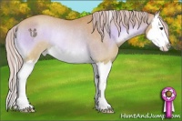 Horse Color:Watercolor Red Onyx Sabino Splash Appaloosa Rabicano 