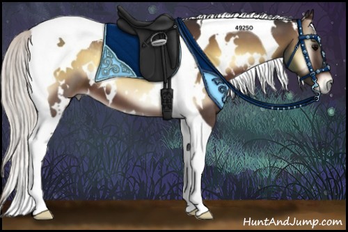 Horse Color:White Spotted Silver Bay Onyx Tobiano 