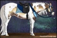Horse Color:White Spotted Silver Bay Onyx Tobiano 