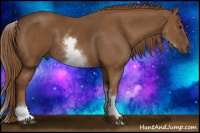 Horse Color:White Spotted Chestnut Sabino