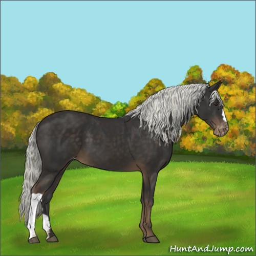 Horse Color:Liver Chestnut Mushroom Varnish