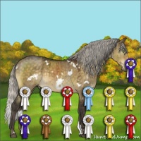 Horse Color:White Spotted Silver Buckskin Dun Mushroom Brindle